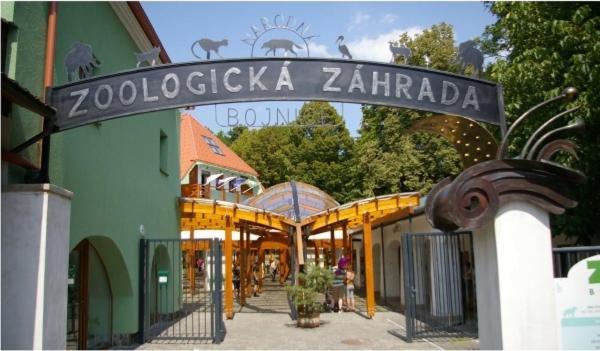 Rezidencia Pod Zamkom Bojnice Apartman Luna 외부 사진